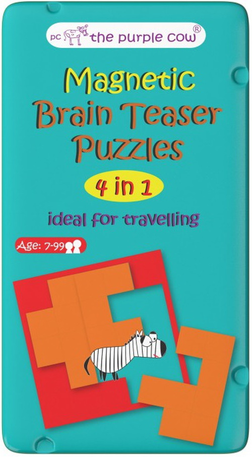 Magnetic Brain Teaser Puzzles